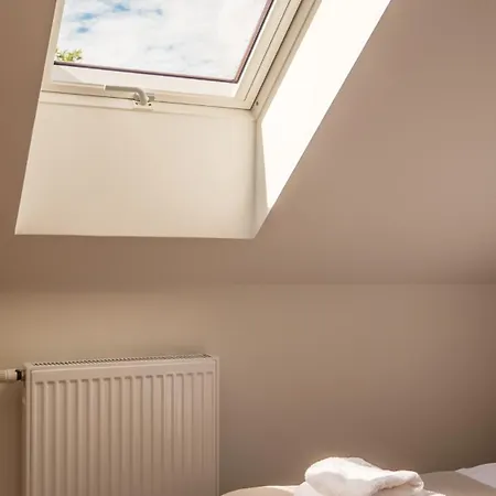 W Willi Z Sauna I Ogrodem Surfingbird