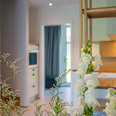W Willi Z Sauna I Ogrodem Surfingbird Villa *